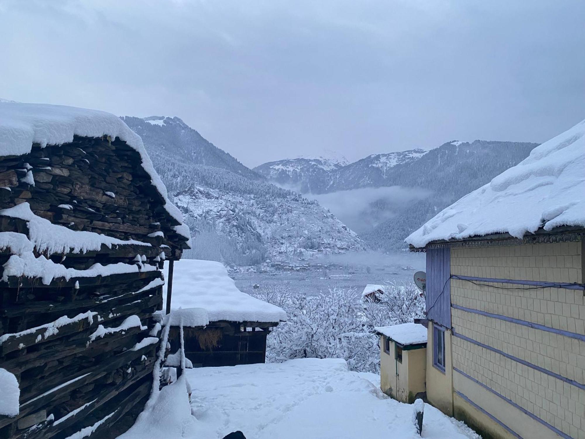 Pinaki * Manali (Himachal Pradesh)
