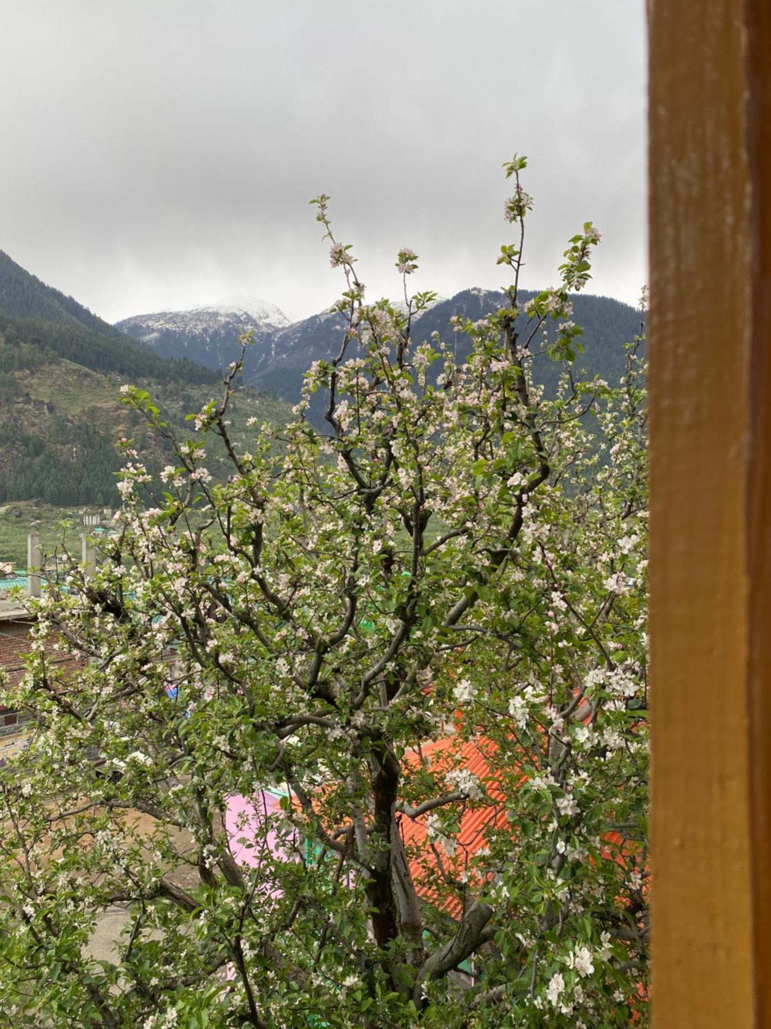 Bed & Breakfast Pinaki *